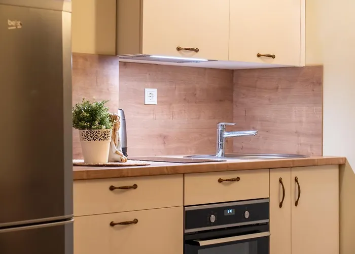 Apartment Cozy With Inner Yard Vilnius